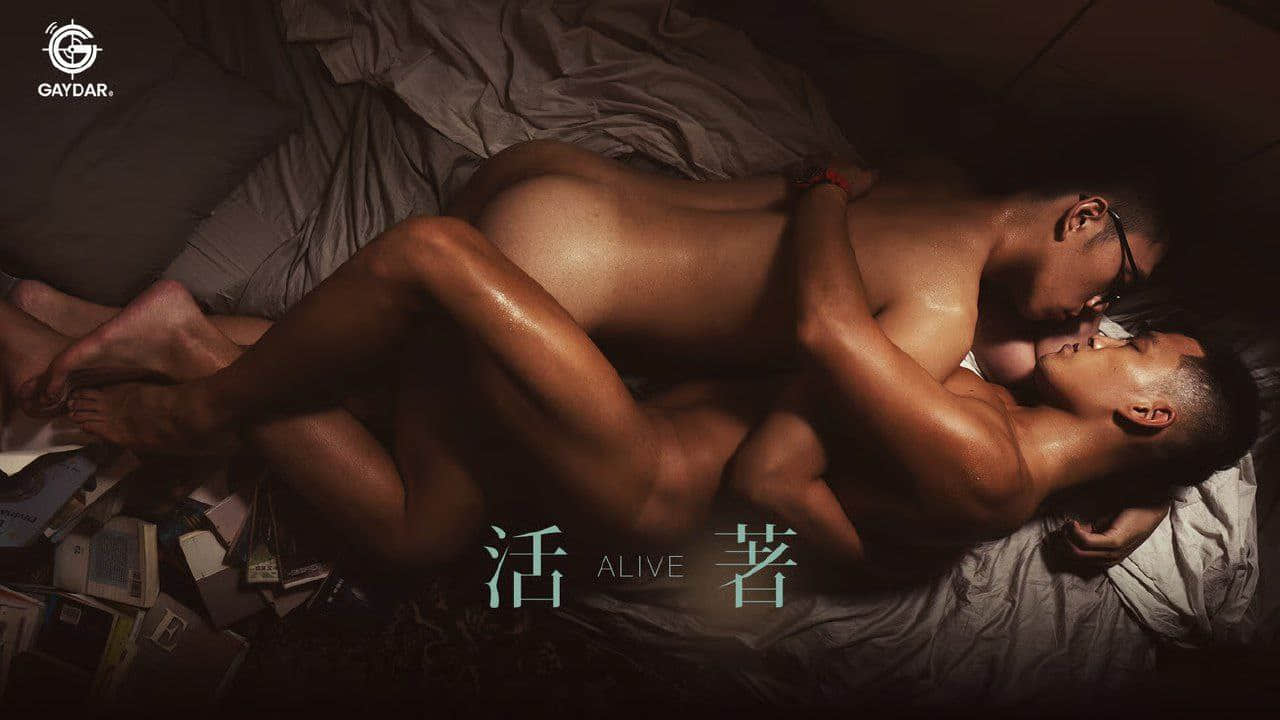 MGV-001 ALive – Gaydar